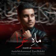 دانلود آهنگ ماه عزا امیرمحمد زارع بیدکی